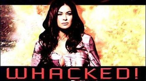 正义使者爆料视频大全,视频大全背后的真相与故事